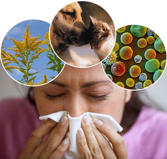 Seasonal Allergies