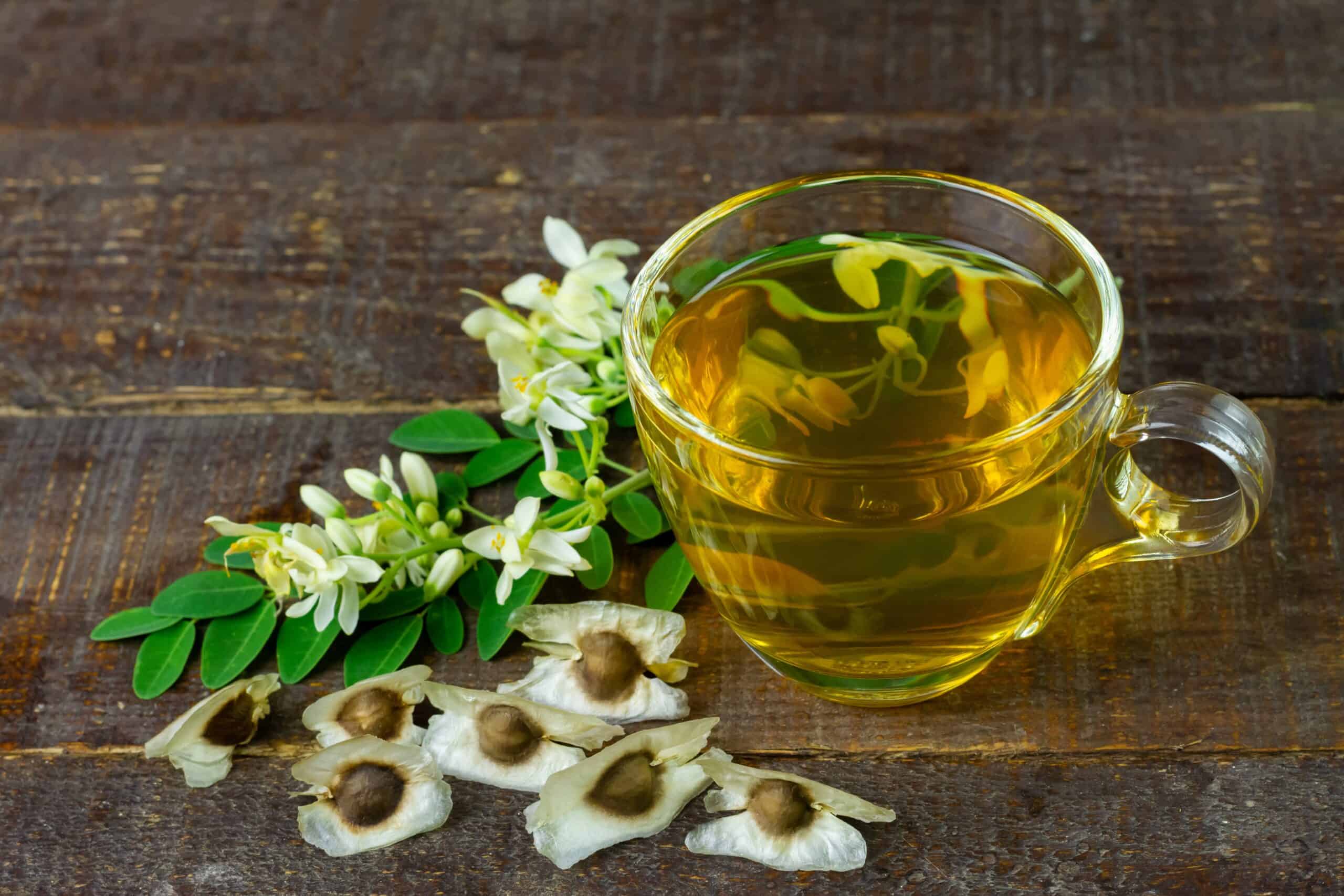 moringa tea